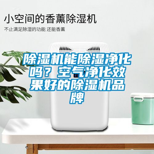 除濕機能除濕凈化嗎？空氣凈化效果好的除濕機品牌