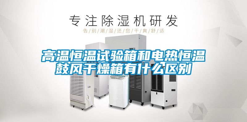高溫恒溫試驗箱和電熱恒溫鼓風(fēng)干燥箱有什么區別