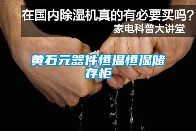 黃石元器件恒溫恒濕儲存柜