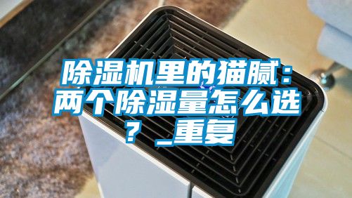 除濕機里的貓膩：兩個(gè)除濕量怎么選？_重復