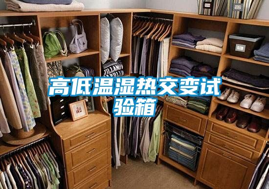 高低溫濕熱交變?cè)囼?yàn)箱