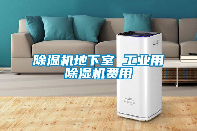 除濕機(jī)地下室 工業(yè)用除濕機(jī)費用