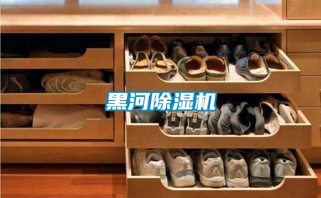 黑河除濕機(jī)