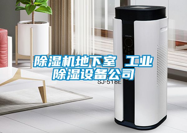 除濕機(jī)地下室 工業(yè)除濕設(shè)備公司