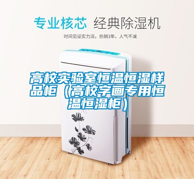 高校實(shí)驗室恒溫恒濕樣品柜（高校字畫(huà)專(zhuān)用恒溫恒濕柜）