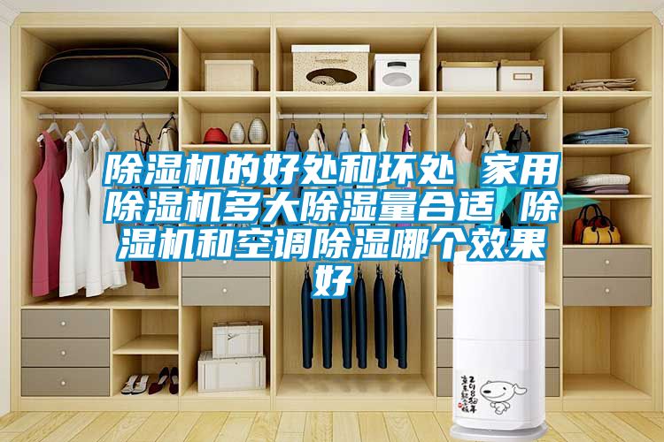 除濕機(jī)的好處和壞處 家用除濕機(jī)多大除濕量合適 除濕機(jī)和空調(diào)除濕哪個(gè)效果好