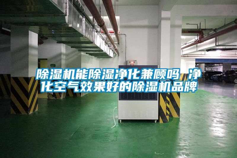 除濕機(jī)能除濕凈化兼顧嗎 凈化空氣效果好的除濕機(jī)品牌