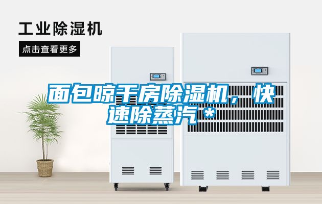 面包晾干房除濕機(jī)，快速除蒸汽＊