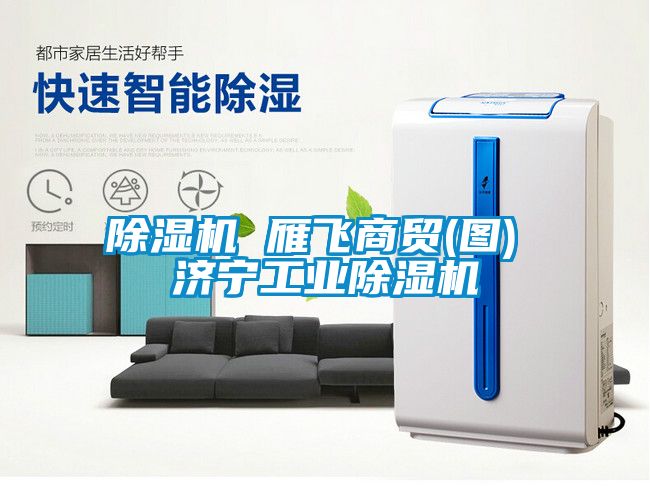 除濕機(jī) 雁飛商貿(mào)(圖) 濟(jì)寧工業(yè)除濕機(jī)