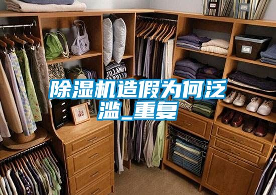 除濕機造假為何泛濫_重復