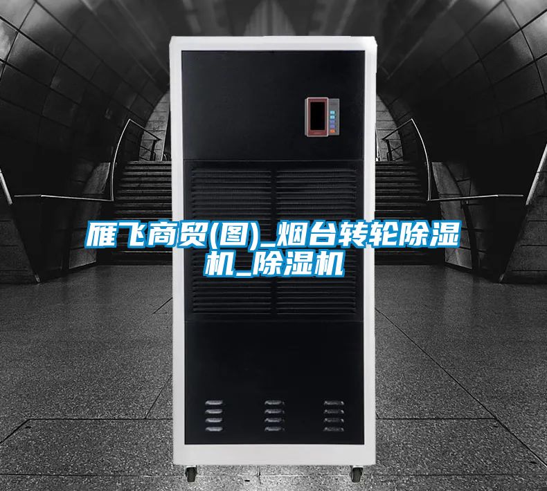雁飛商貿(mào)(圖)_煙臺轉輪除濕機_除濕機