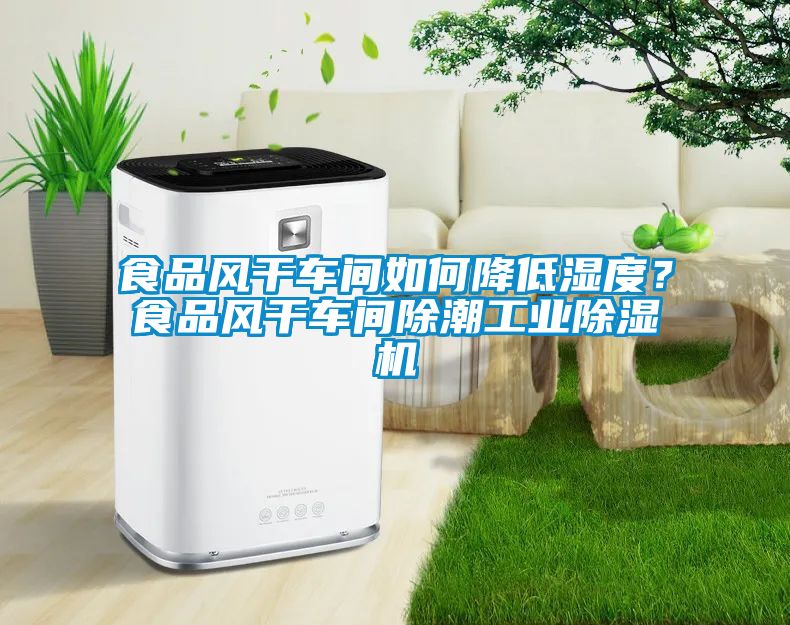 食品風(fēng)干車間如何降低濕度？食品風(fēng)干車間除潮工業(yè)除濕機