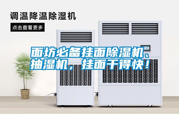 面坊必備掛面除濕機(jī)、抽濕機(jī)，掛面干得快！