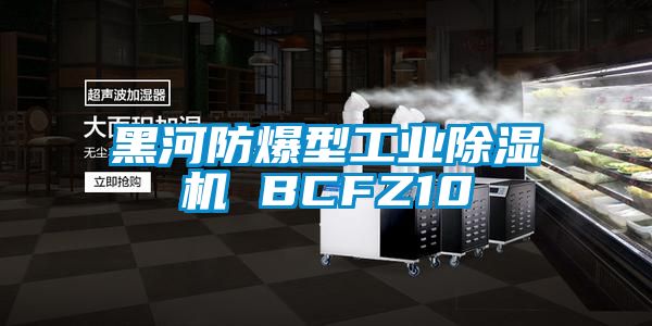 黑河防爆型工業(yè)除濕機 BCFZ10