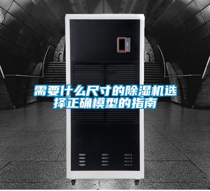 需要什么尺寸的除濕機(jī)選擇正確模型的指南