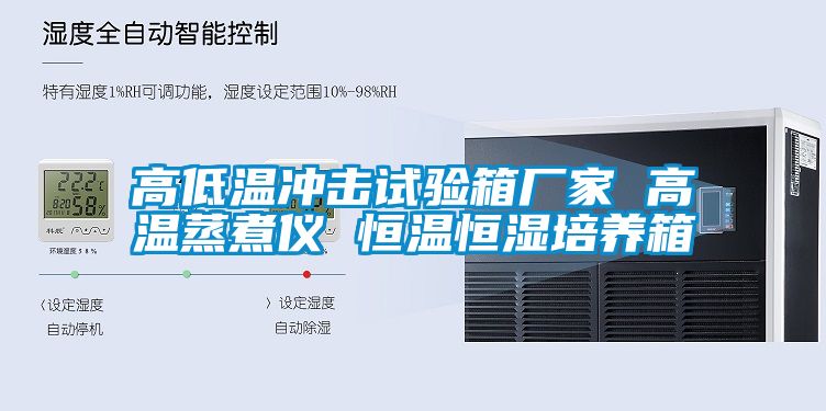 高低溫沖擊試驗箱廠家 高溫蒸煮儀 恒溫恒濕培養(yǎng)箱