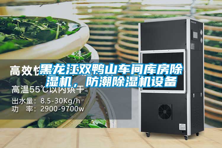 黑龍江雙鴨山車(chē)間庫房除濕機，防潮除濕機設備