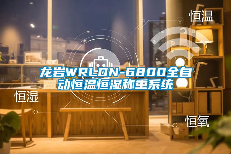 龍巖WRLDN-6800全自動恒溫恒濕稱重系統(tǒng)