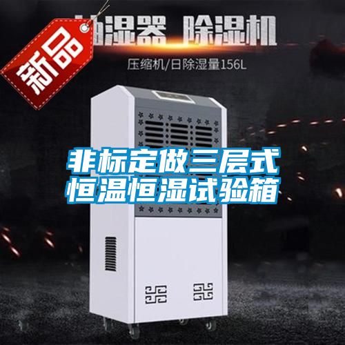 非標定做三層式恒溫恒濕試驗箱