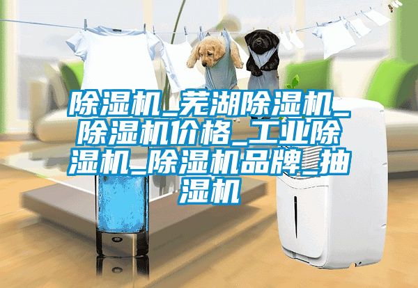 除濕機_蕪湖除濕機_除濕機價格_工業(yè)除濕機_除濕機品牌_抽濕機