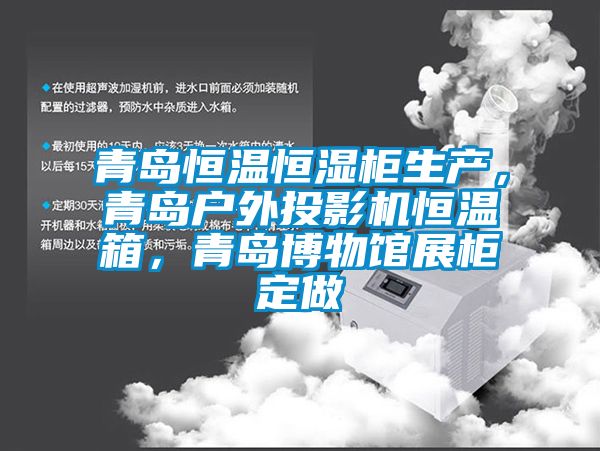 青島恒溫恒濕柜生產(chǎn)，青島戶外投影機(jī)恒溫箱，青島博物館展柜定做