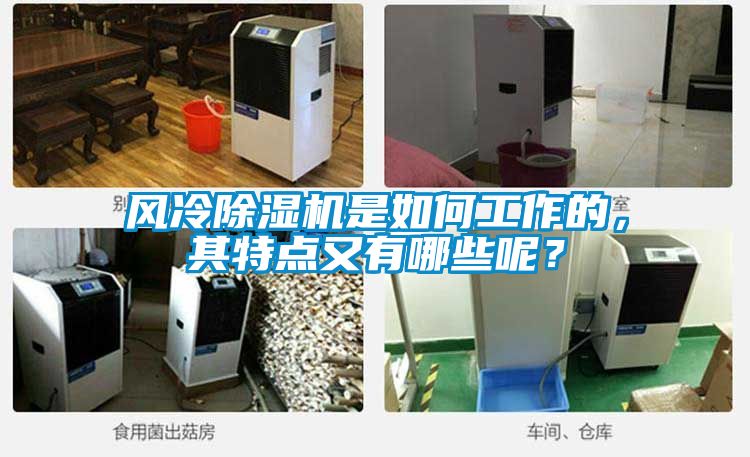 風(fēng)冷除濕機(jī)是如何工作的，其特點(diǎn)又有哪些呢？