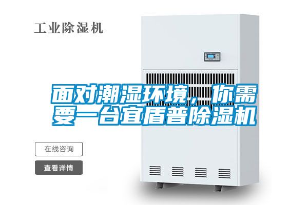 面對潮濕環(huán)境，你需要一臺宜盾普除濕機