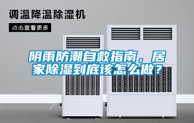 陰雨防潮自救指南，居家除濕到底該怎么做？