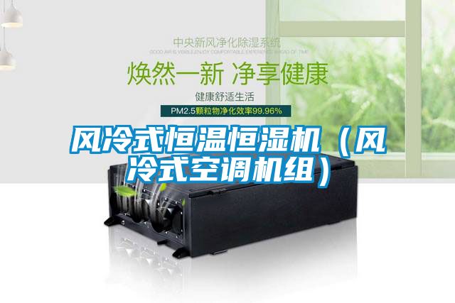 風(fēng)冷式恒溫恒濕機(jī)（風(fēng)冷式空調(diào)機(jī)組）
