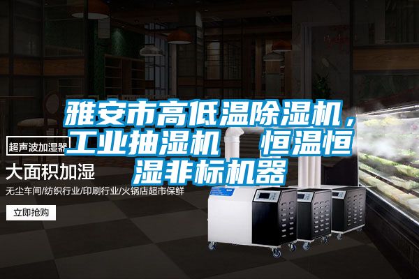 雅安市高低溫除濕機，工業(yè)抽濕機  恒溫恒濕非標機器