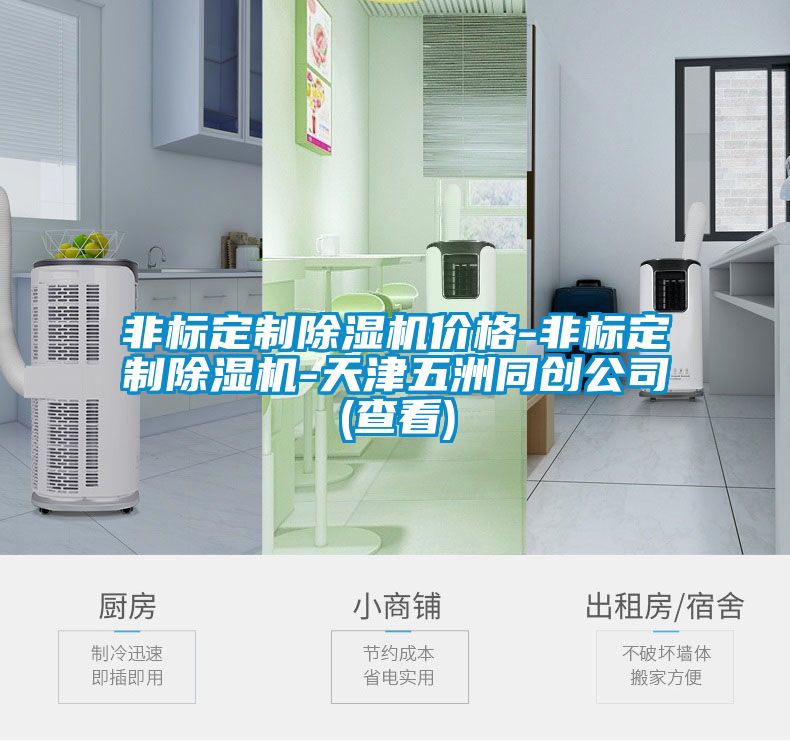 非標定制除濕機價(jià)格-非標定制除濕機-天津五洲同創(chuàng  )公司(查看)