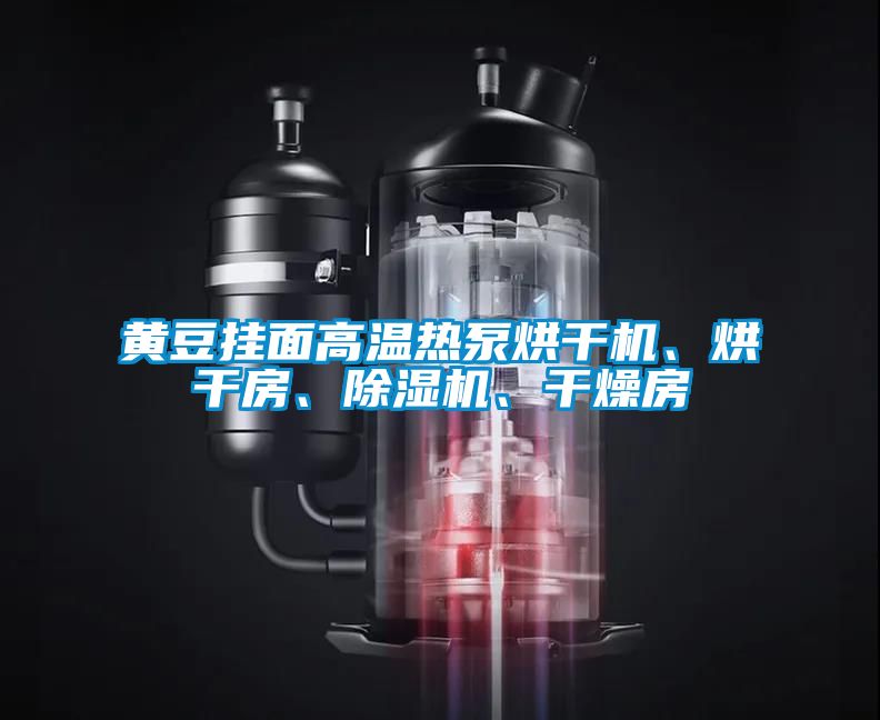 黃豆掛面高溫熱泵烘干機、烘干房、除濕機、干燥房