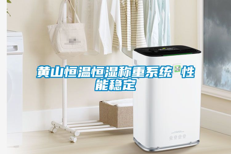黃山恒溫恒濕稱(chēng)重系統 性能穩定