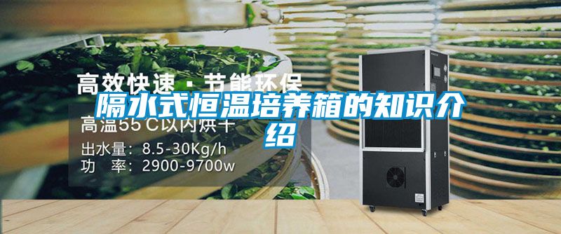 隔水式恒溫培養箱的知識介紹
