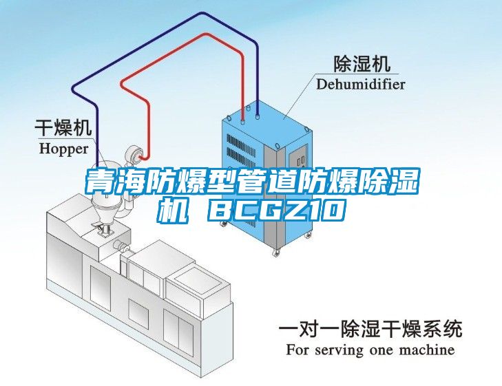 青海防爆型管道防爆除濕機(jī) BCGZ10