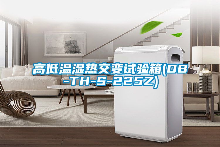 高低溫濕熱交變試驗箱(DB-TH-S-225Z)
