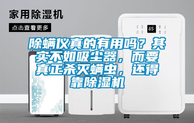 除螨儀真的有用嗎？其實不如吸塵器，而要真正殺滅螨蟲，還得靠除濕機