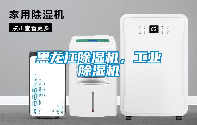 黑龍江除濕機，工業(yè)除濕機