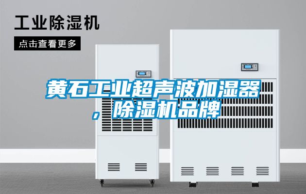 黃石工業(yè)超聲波加濕器，除濕機(jī)品牌