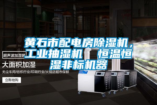 黃石市配電房除濕機(jī)，工業(yè)抽濕機(jī)  恒溫恒濕非標(biāo)機(jī)器