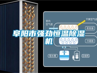 知識百科阜陽市強(qiáng)勁恒溫除濕機(jī)