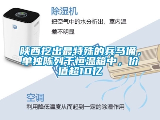 知識(shí)百科陜西挖出最特殊的兵馬俑，單獨(dú)陳列于恒溫箱中，價(jià)值超10億