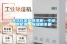 武漢檔案室除濕機，專(zhuān)業(yè)的防潮、除濕機設備