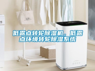 企業(yè)新聞低露點(diǎn)轉(zhuǎn)輪除濕機(jī)，低露點(diǎn)環(huán)境轉(zhuǎn)輪除濕系統(tǒng)