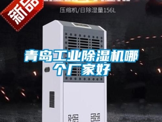 企業(yè)新聞青島工業(yè)除濕機(jī)哪個廠家好