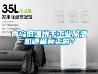 常見問題青島低溫烘干工業(yè)除濕機(jī)哪里有賣的？