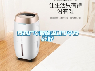 企業(yè)新聞食品廠車間除濕機(jī)哪個品牌好