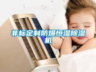 企業(yè)新聞非標(biāo)定制防爆恒濕除濕機(jī)