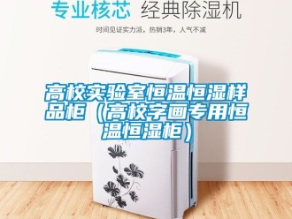 知識百科高校實(shí)驗(yàn)室恒溫恒濕樣品柜（高校字畫專用恒溫恒濕柜）