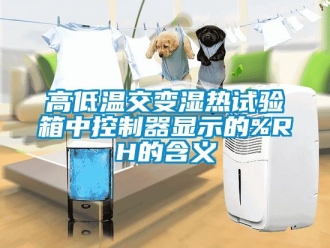常見問(wèn)題高低溫交變濕熱試驗(yàn)箱中控制器顯示的%RH的含義